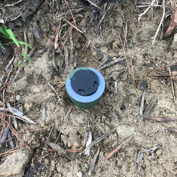 M14 Magic Mine - Image 7
