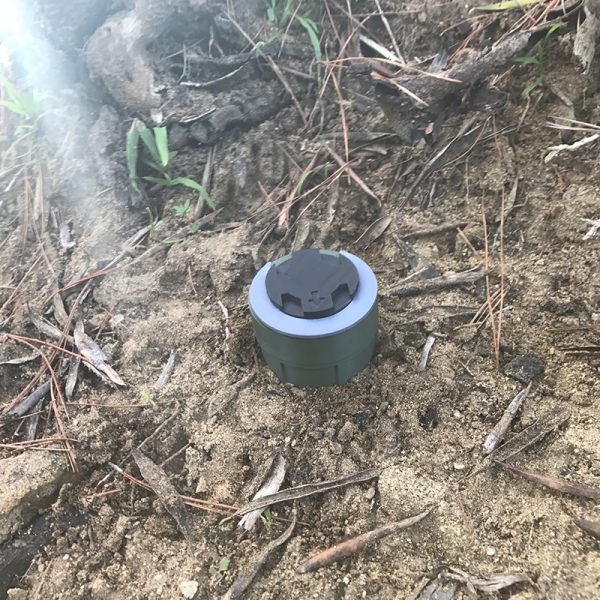 M14 Magic Mine - Image 5