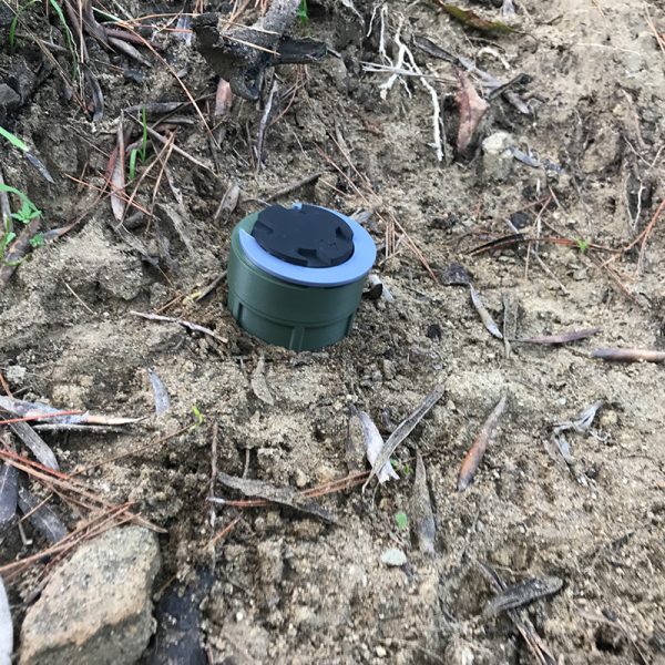 M14 Magic Mine - Image 4